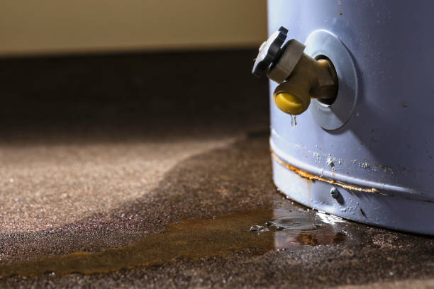 Best Water damage restoration near me  in Owings Mills, MD