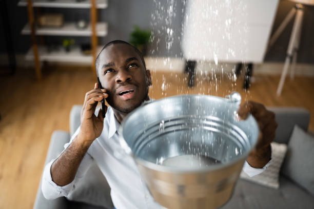 Best Water damage contractors near me  in Owings Mills, MD