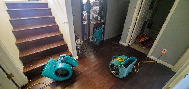 Best Professional water damage repair  in Owings Mills, MD