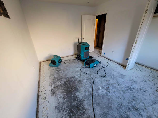 Best Basement water damage restoration  in Owings Mills, MD