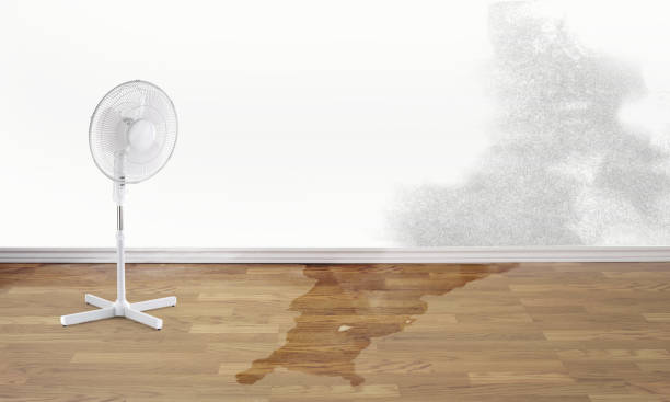 Best Local water damage restoration  in Owings Mills, MD