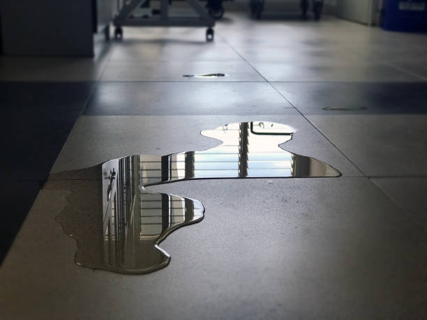 Best Local water damage restoration  in Owings Mills, MD