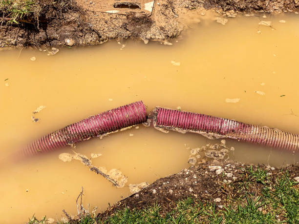 Best Basement water damage restoration  in Owings Mills, MD