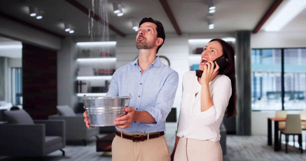 Best Fire Damage Restoration  in Owings Mills, MD