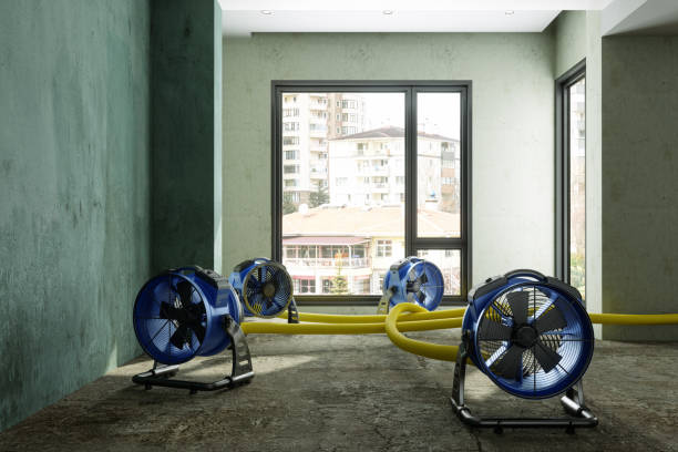 Best Residential water damage restoration  in Owings Mills, MD
